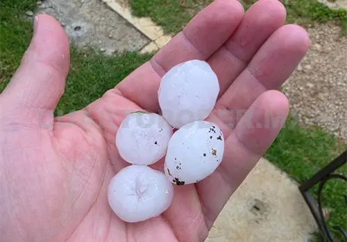 Granizada sorprende a habitantes de SCLC Granizada sorprende a habitantes de SCLC