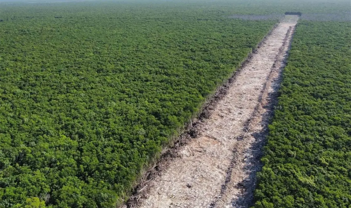 Acusa PAN reversa en agenda medioambiental