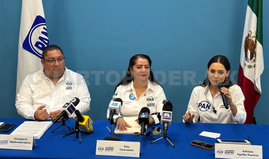 El PAN dio a conocer que son varias las denuncias que han hecho contra varios personajes por presunta promoción personalizada. Cortesía