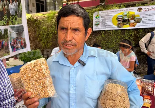 Impulsan producci&oacute;n sustentable de ma&iacute;z