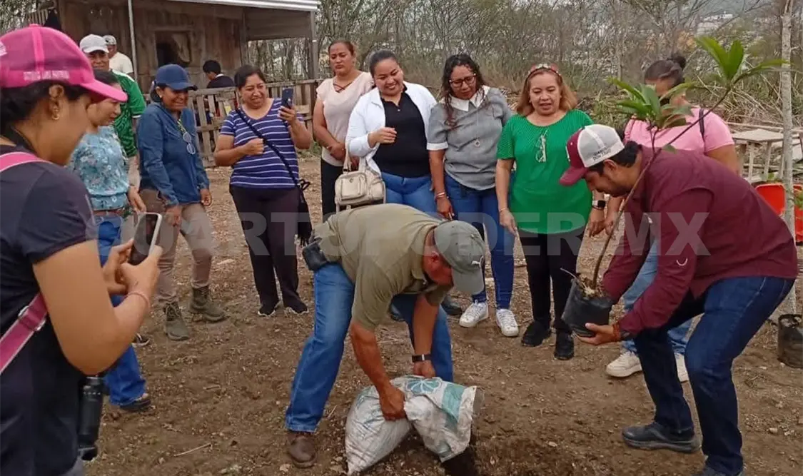 La reforestación iniciaría en el Cañón del Sumidero. CP