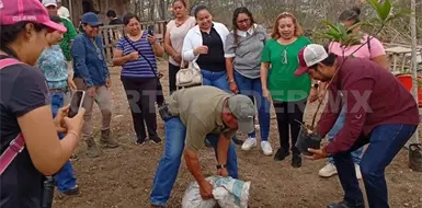 Urge reforestaci&oacute;n en &aacute;reas de la zona Metropolitana
