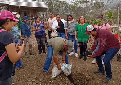 Urge reforestaci&oacute;n en &aacute;reas de la zona Metropolitana
