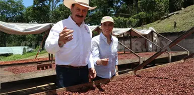 Reconocen modelo de producción de cacao Reconocen modelo de producción de cacao