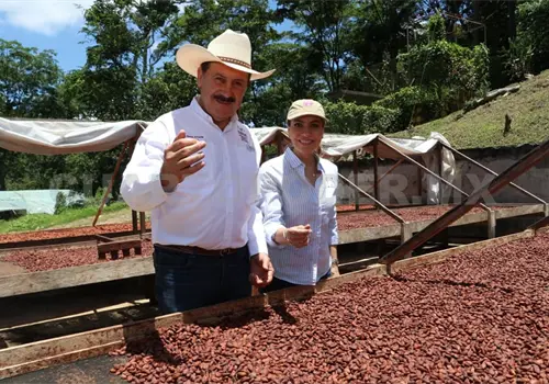 Reconocen modelo de producci&oacute;n de cacao