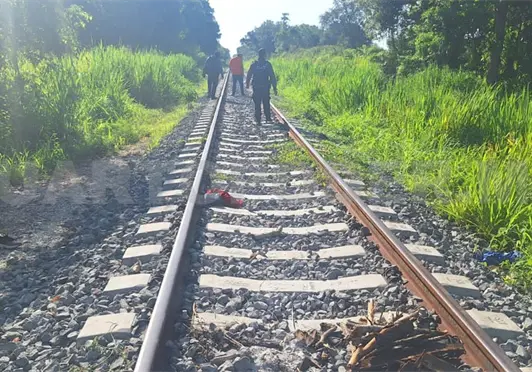 Tren destroza a centroamericano Tren destroza a centroamericano