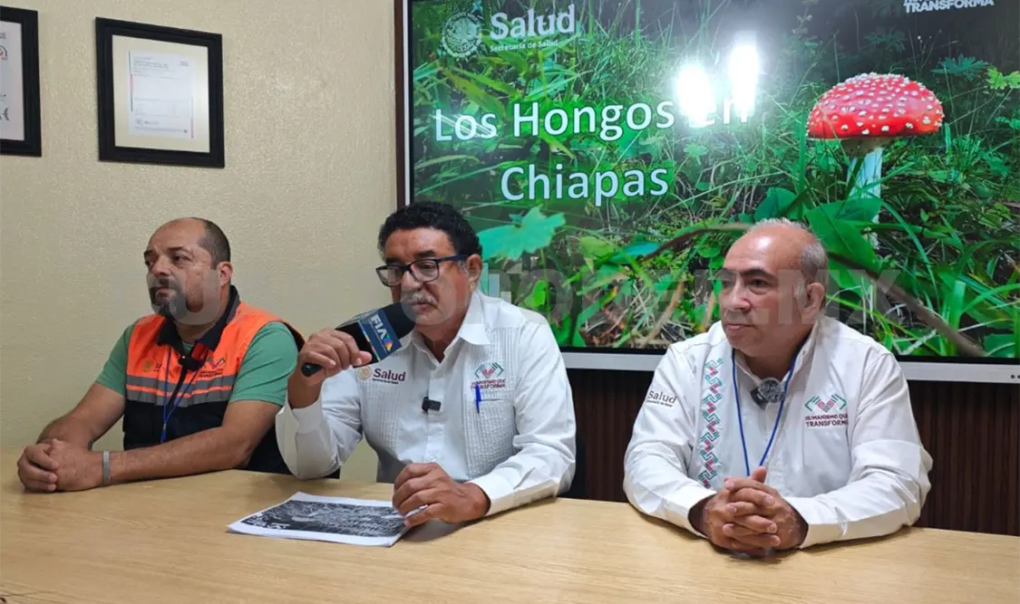 Recomiendan que solo personas con conocimientos sobre los hongos silvestres se dediquen a la recolección. CP