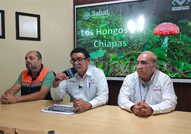 Realizan acciones para prevenir intoxicaciones