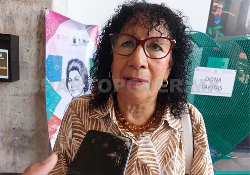 Actividad s&iacute;smica en Chiapas es normal