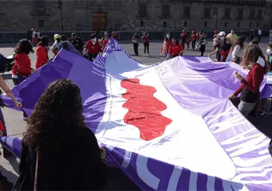 Menstruaci&oacute;n digna ya es un derecho constitucional: ONG