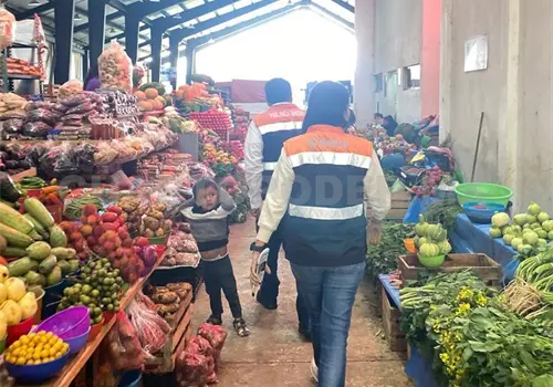 Unos 50 hongos venenosos en Chiapas
