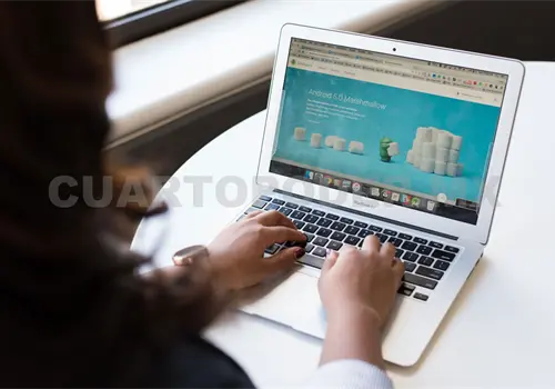 Persiste rezago de acceso a internet Persiste rezago de acceso a internet