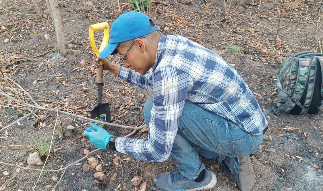 Buscan sustituir de manera gradual los fertilizantes sintéticos por “fertilizantes vivos”. Cortesía