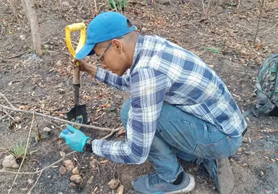 Biofertilizaci&oacute;n busca sustituir qu&iacute;micos sint&eacute;ticos
