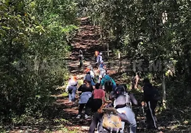 Proh&iacute;ben acceso al &Aacute;rbol Hueco en Zinacant&aacute;n