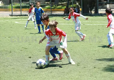 Cefor Campestre avanza a semifinales