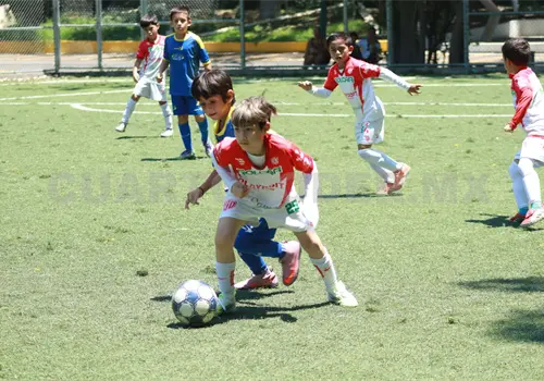 Cefor Campestre avanza a semifinales Cefor Campestre avanza a semifinales