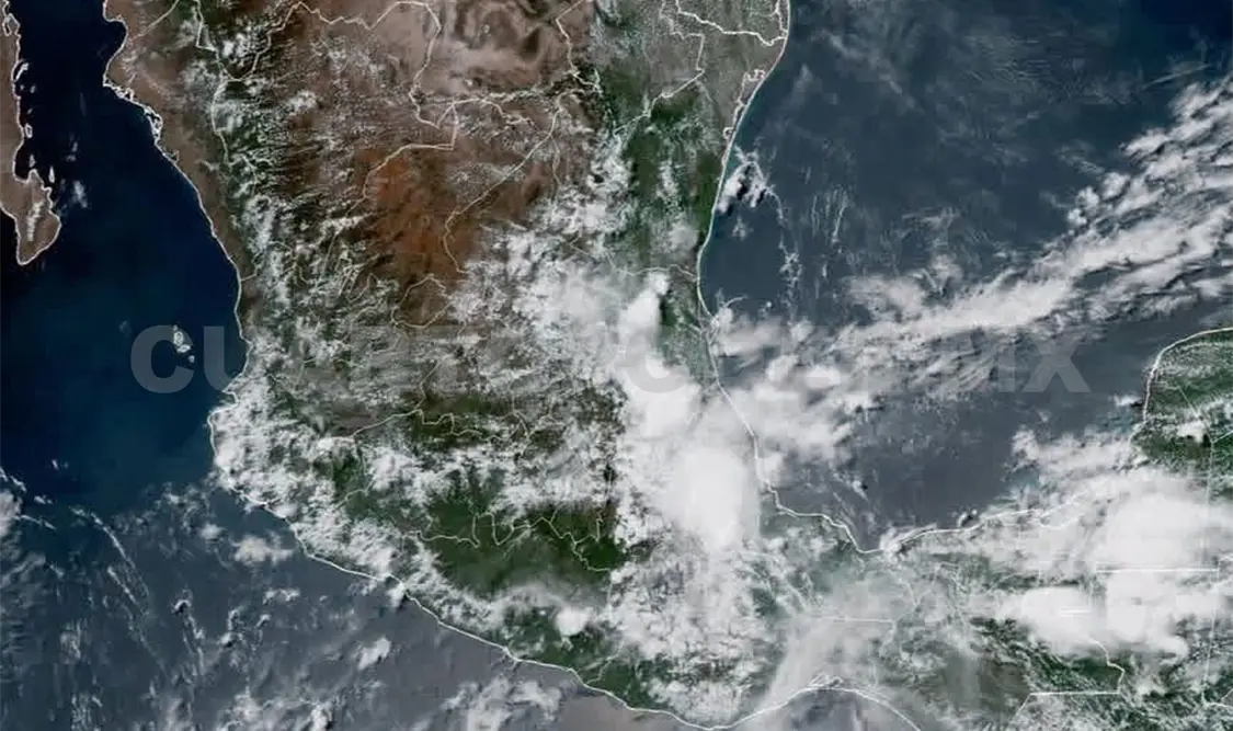 La región Selva tendrá copiosas lluvias: reporte del SMN. CP