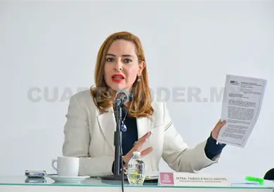 Se&ntilde;alan a D&iacute;az Ochoa responsable de posibles desfalcos