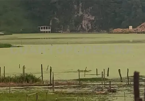 Denuncian contaminaci&oacute;n de laguna de Navenchauc
