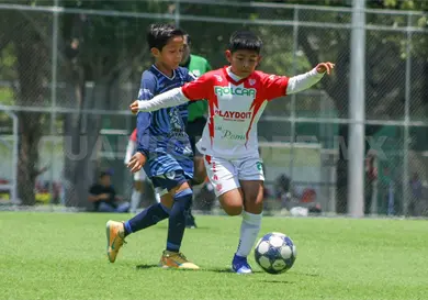 Tuzitos Jobo avanza a semifinales
