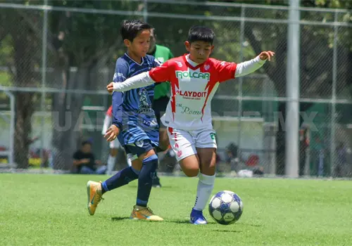 Tuzitos Jobo avanza a semifinales