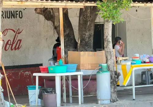Le arrebatan su bolso y se llevan m&aacute;s de 50 mil