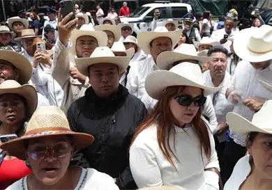 Busca Grecia Quiroz impugnar reforma de Michoac&aacute;n