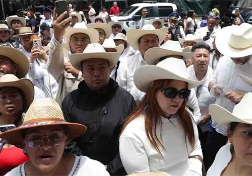 Busca Grecia Quiroz impugnar reforma de Michoac&aacute;n