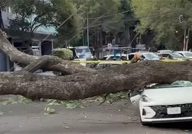 Siniestros por lluvias y huracanes aumentan costos