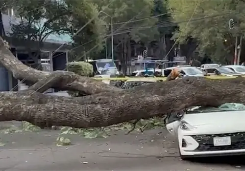Siniestros por lluvias y huracanes aumentan costos