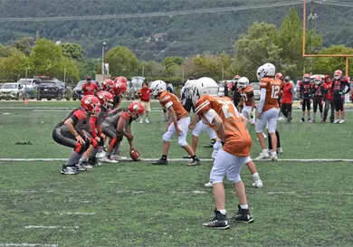 Osos y Blue Team cerraron invictos