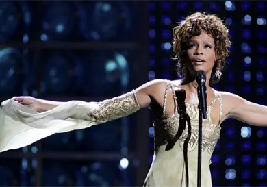 Ocultaron incidente de Whitney Houston