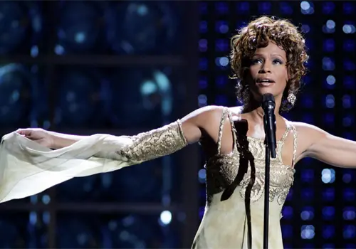 Ocultaron incidente de Whitney Houston