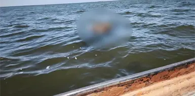 Piden agilizar estudios a cuerpos hallados en el mar