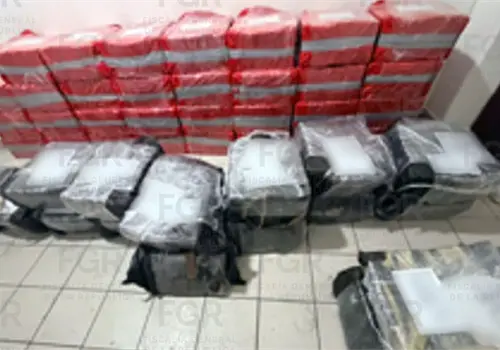A proceso cinco por transportar coca&iacute;na