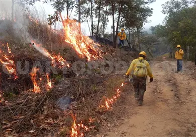 Las peque&ntilde;as quemas, evitan grandes incendios