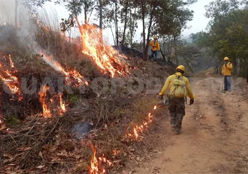 Las peque&ntilde;as quemas, evitan grandes incendios