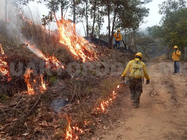 Las peque&ntilde;as quemas, evitan grandes incendios