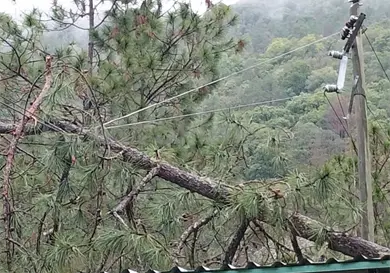 Altamirano se qued&oacute; sin energ&iacute;a el&eacute;ctrica