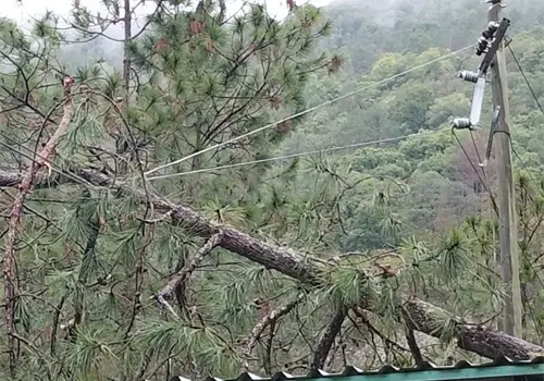 Altamirano se qued&oacute; sin energ&iacute;a el&eacute;ctrica