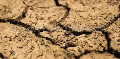 Presenta 59 % del pa&iacute;s desertificaci&oacute;n