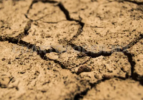 Presenta 59 % del pa&iacute;s desertificaci&oacute;n