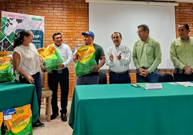 Productores reciben semillas mejoradas