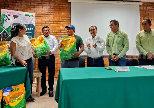 Productores reciben semillas mejoradas