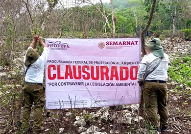 Clausuran predio en San Fernando