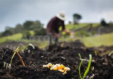 Campo se queda sin relevo intergeneracional