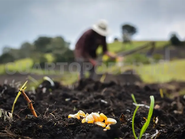 Campo se queda sin relevo intergeneracional