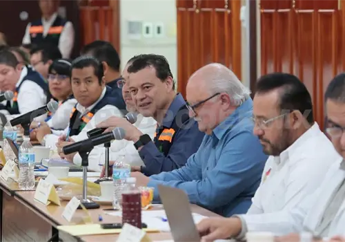 Acuerdos de IMSS y CFE benefician a ciudadan&iacute;a