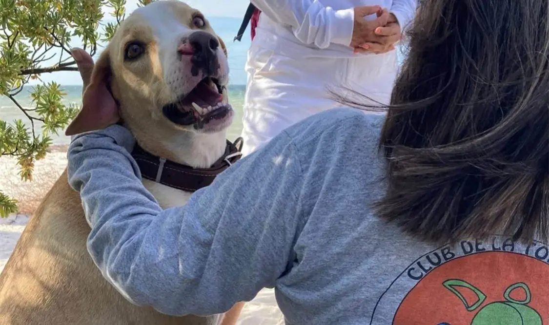Muere Manchas, perro que protegía tortugas marinas